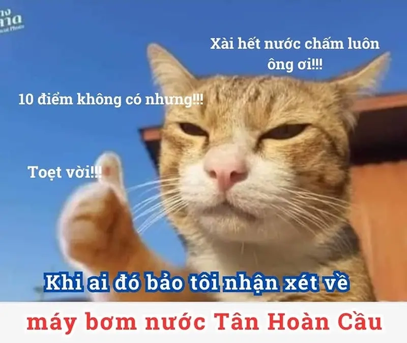 Dùng meme hết nước chấm để kết thúc mọi cuộc tranh luận!