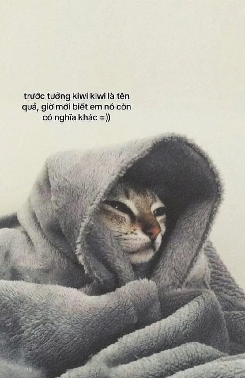 Top các video kiwi kiwi tiktok thu hút lượt thích nhiều