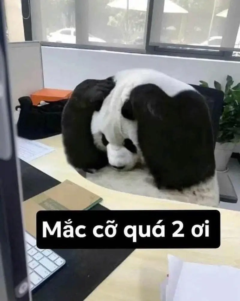 Tại sao meme mắc cỡ quá hai ơi lại viral khắp nơi