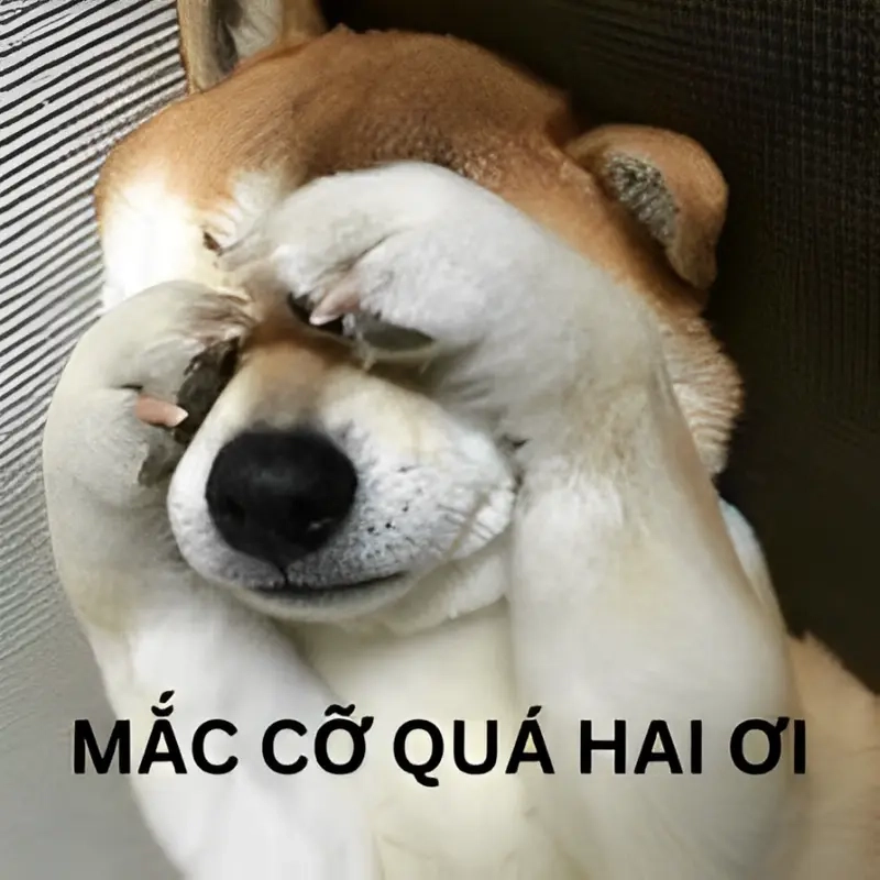 Tổng hợp meme mắc cỡ hài hước khiến bạn cười vỡ bụng