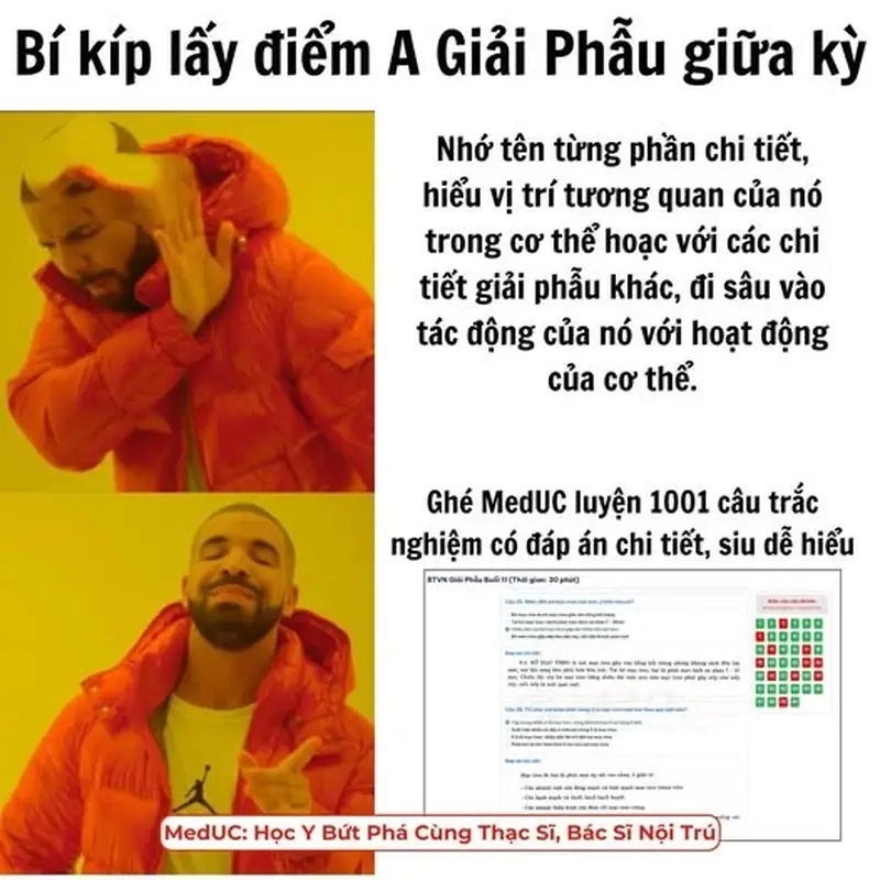 Meme học giải phẫu lan tỏa niềm vui cho các bạn sinh viên ngành y