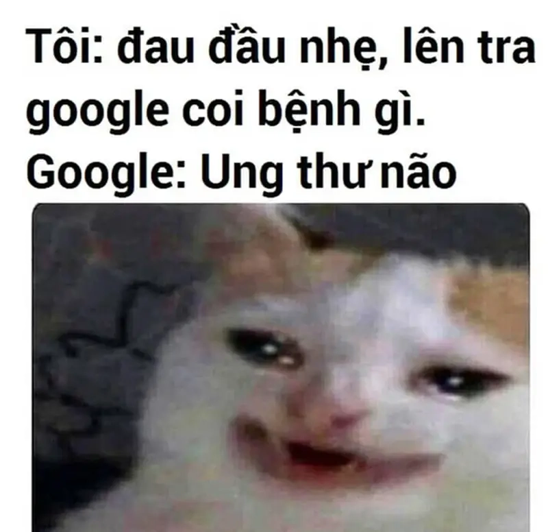 Meme bệnh nhân google gây sốt trong giới y khoa và dân mạng Việt