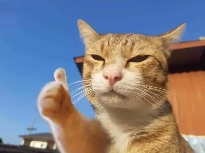 Meme gút chóp dành cho những pha xử lý cực đỉnh