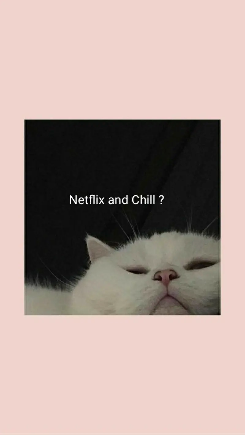 Meme Netflix and chill thu hút sự chú ý của cộng đồng mọt phim