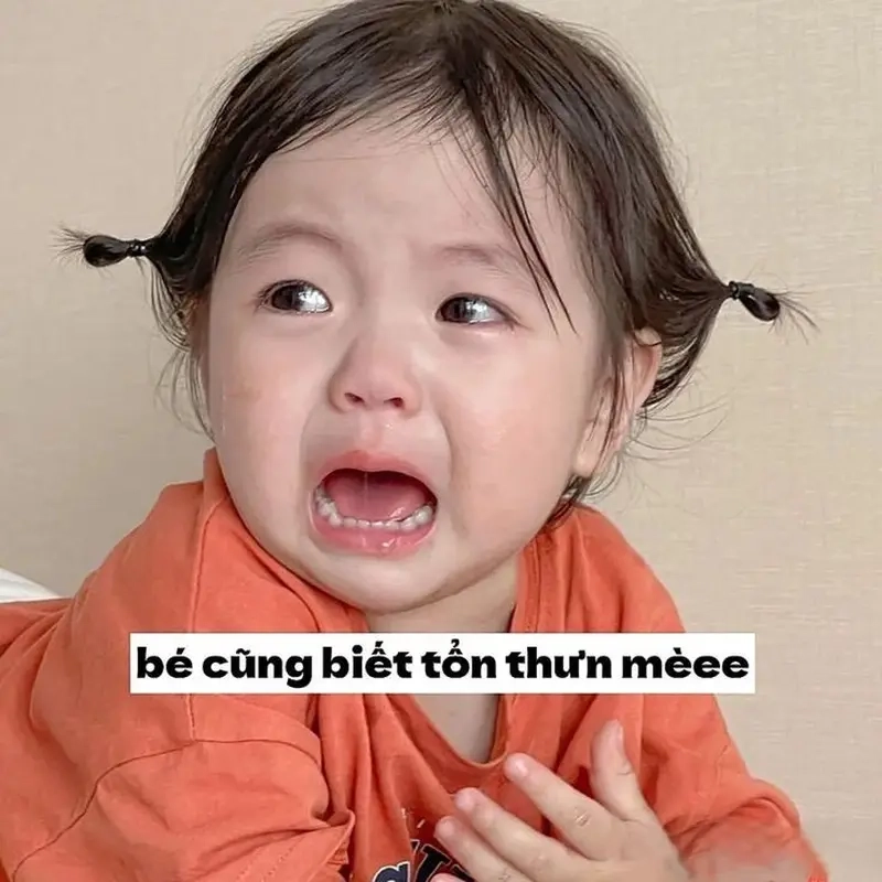 Meme template chung thêm phần dễ thương với meme em bé siêu cute