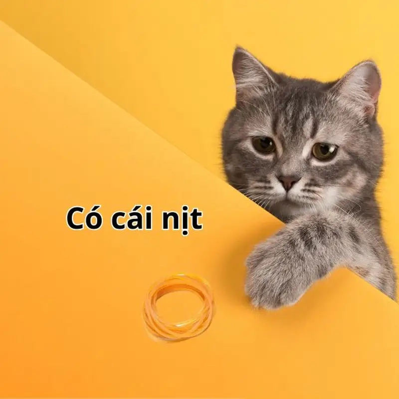 Cười nghiêng ngả với loạt chế ảnh còn cái nịt trên Facebook