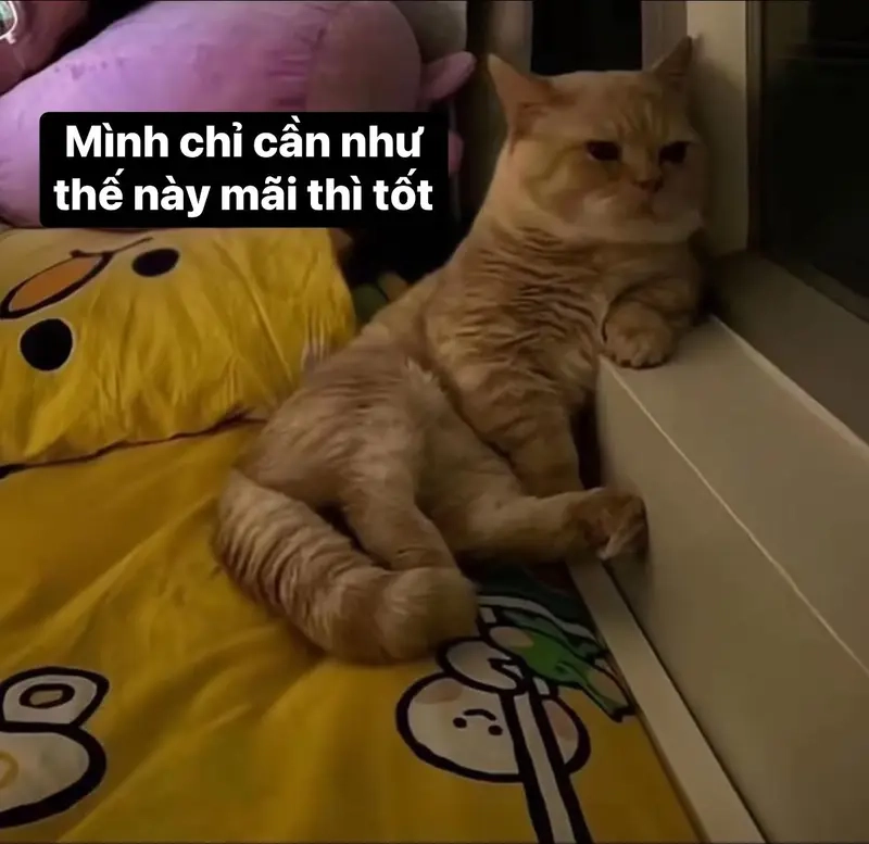 Meme theo cộng đồng, group dành cho Hội những người lười luôn hài hước