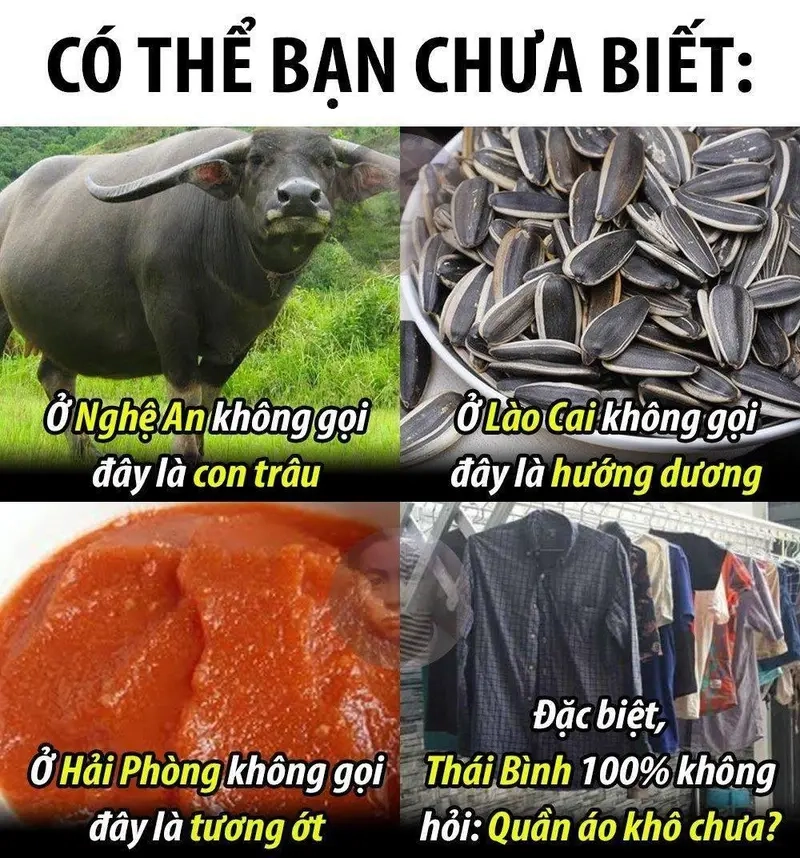 Meme theo cộng đồng, group Tuyệt Tình Cốc luôn tạo tiếng cười vui nhộn