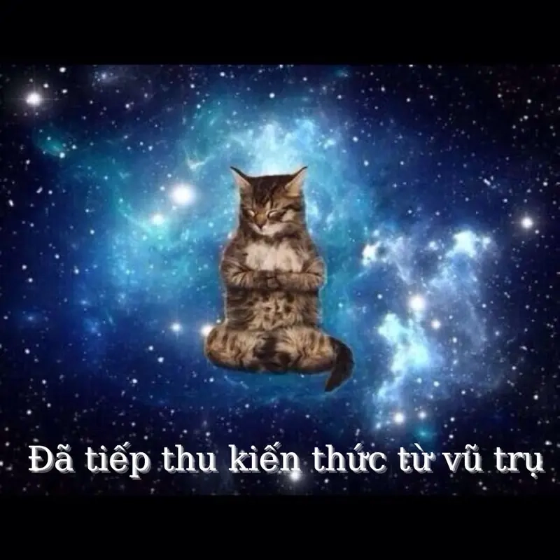 Khám phá meme về vũ trụ thu hút người dùng mạng xã hội hiện nay