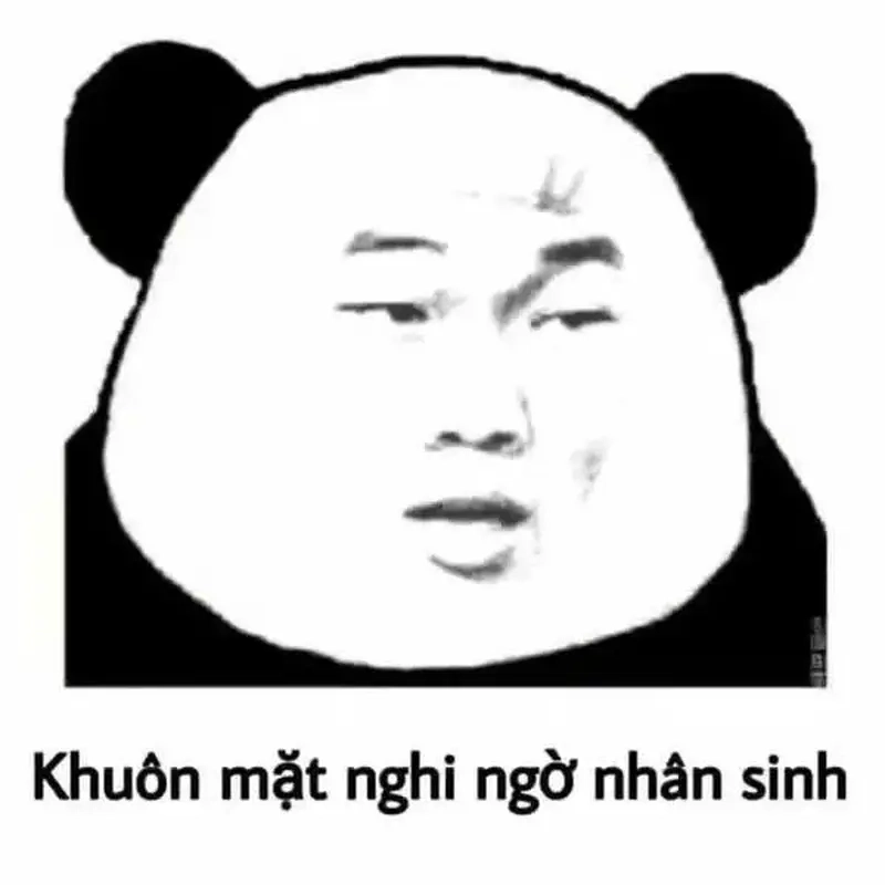 Bộ meme về nhân sinh quan thu hút sự chú ý giới trẻ Việt Nam