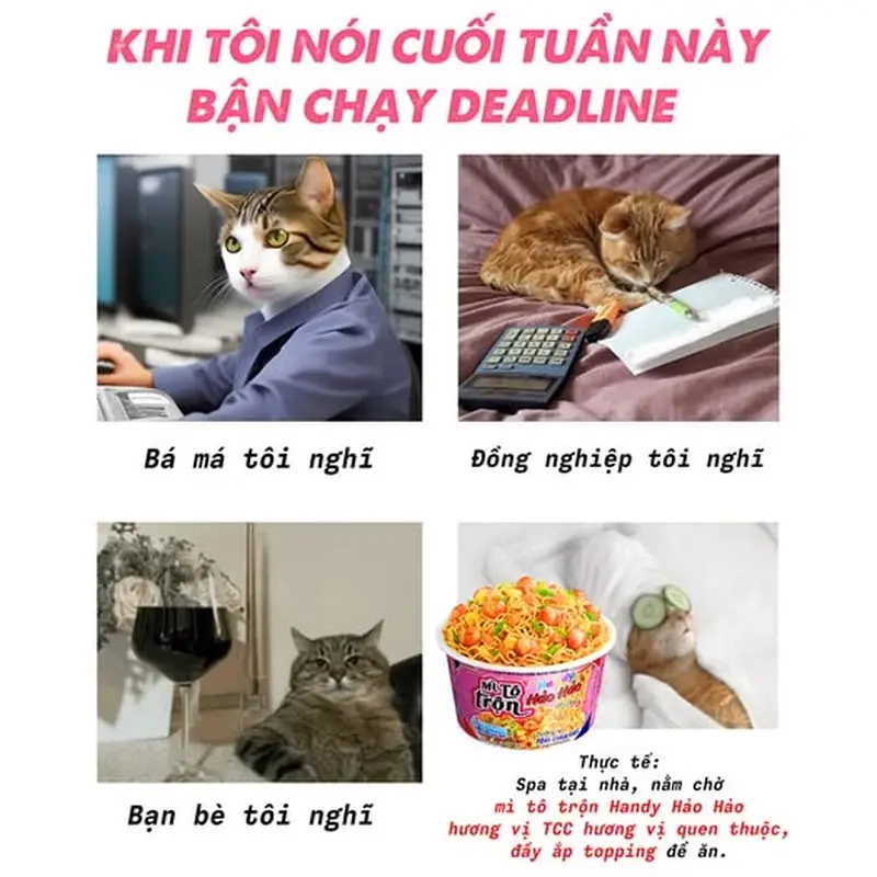 Trào lưu meme trước và sau khi deadline thu hút lượng lớn tương tác