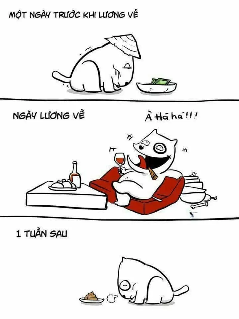 Bộ sưu tập meme trước và sau khi nhận lương gây sốt cộng đồng mạng