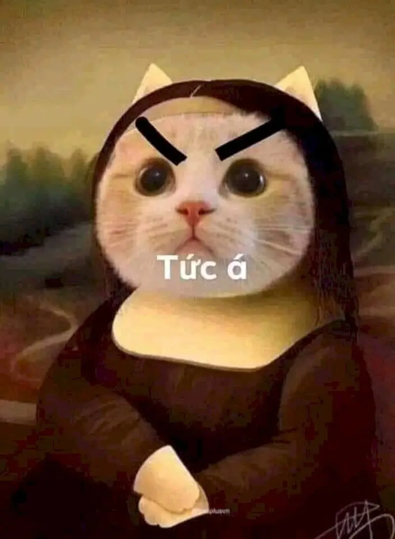 Meme Mona Lisa và những biểu cảm không thể nhầm lẫn