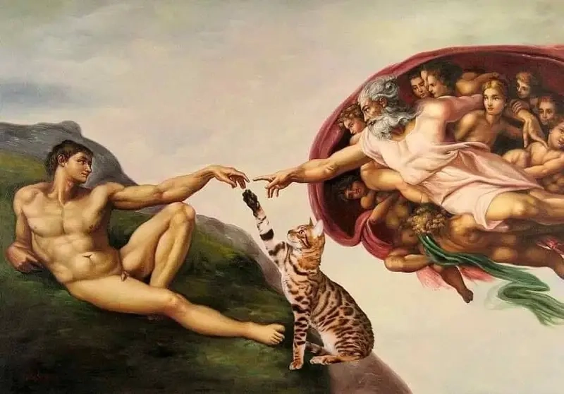Meme The Creation of Adam khiến bạn cười vỡ bụng với phiên bản đời thường