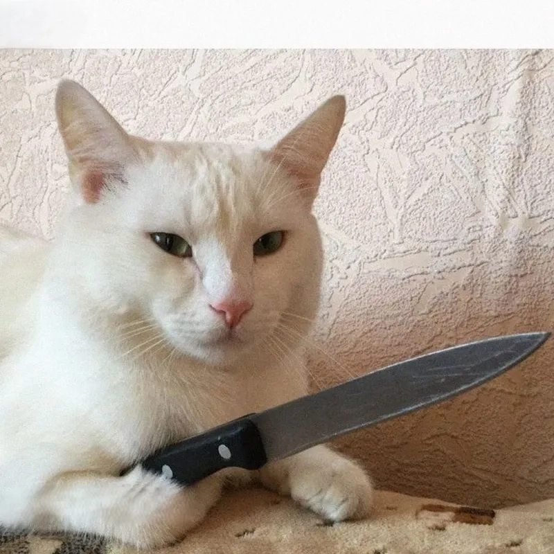 Cảnh báo nguy hiểm: meme tức giận biến hình thành meme cầm dao!