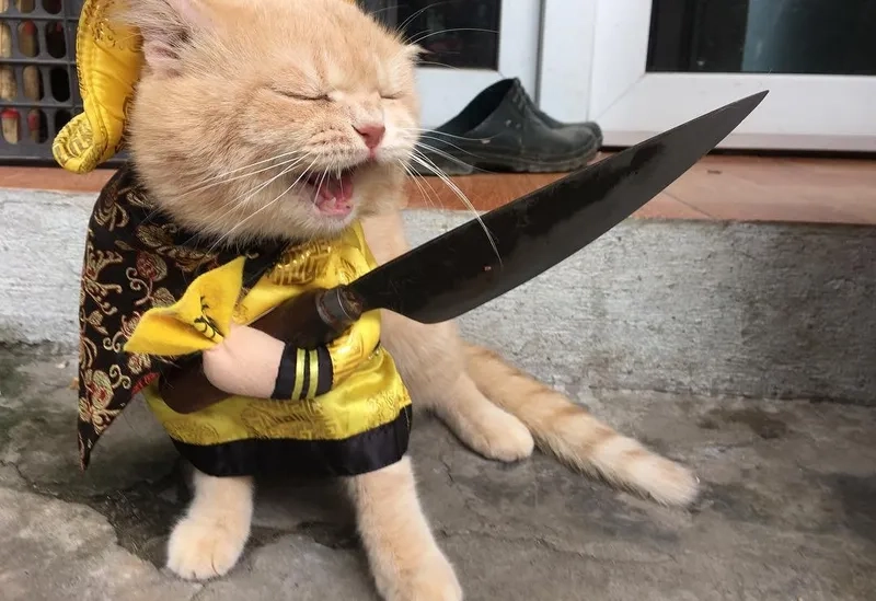 Meme cầm dao không dành cho người yếu tim!