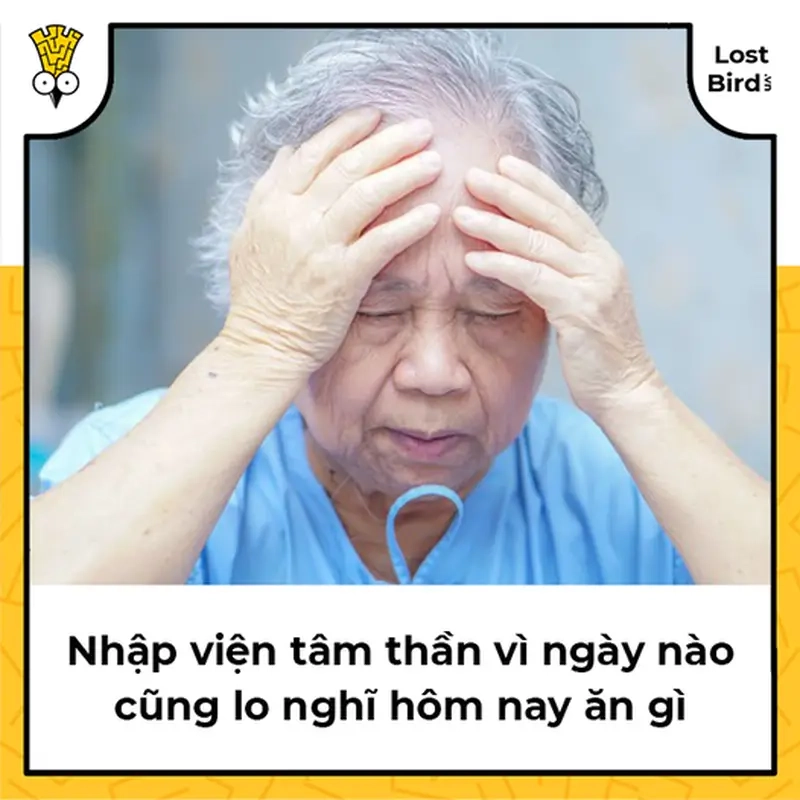 Những tình huống hài hước trong meme 