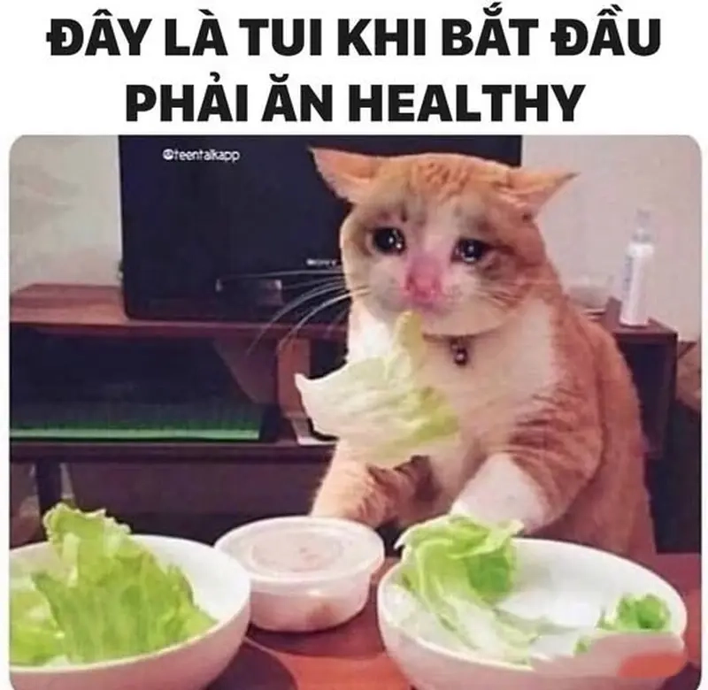 Meme về Ăn uống thú vị về meme ăn healthy