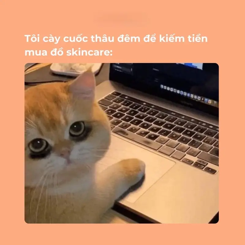 Meme về chăm sóc sắc đẹp và nỗi đau hết tiền vì skincare