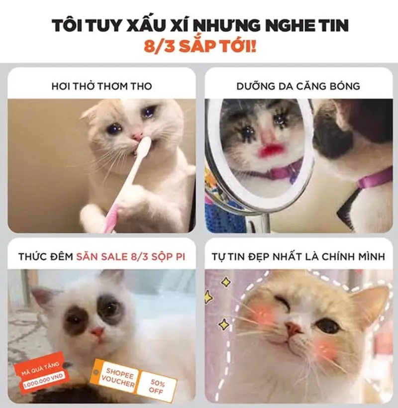 Khi bạn dành cả buổi để đọc review sản phẩm meme tín đồ skincare