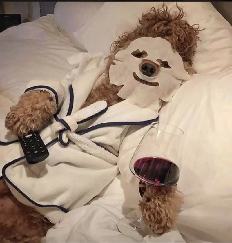 Khi bạn nói chuyện chỉ xoay quanh meme tín đồ skincare