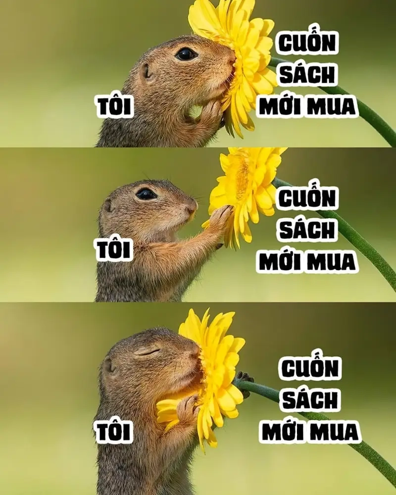 Biểu cảm đặc trưng trong meme book-hangover của mọt sách yêu thích