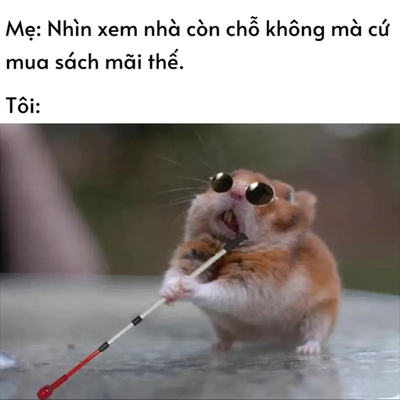 Khoảnh khắc thú vị trong meme mua sách không đọc của mọt sách