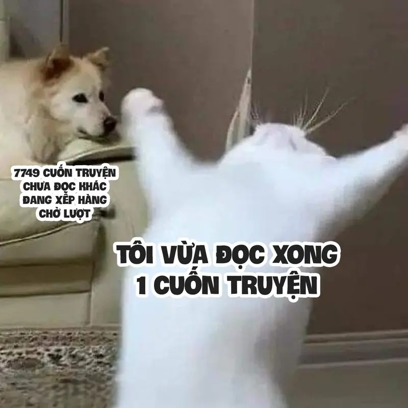 Meme về Đọc sách / Mọt sách vui nhộn xoay quanh meme book-hangover