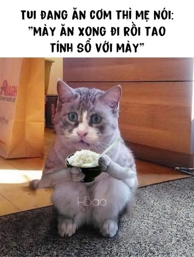 Khi bị mắng, meme bị mẹ chửi là “vũ khí” giảm căng thẳng hiệu quả