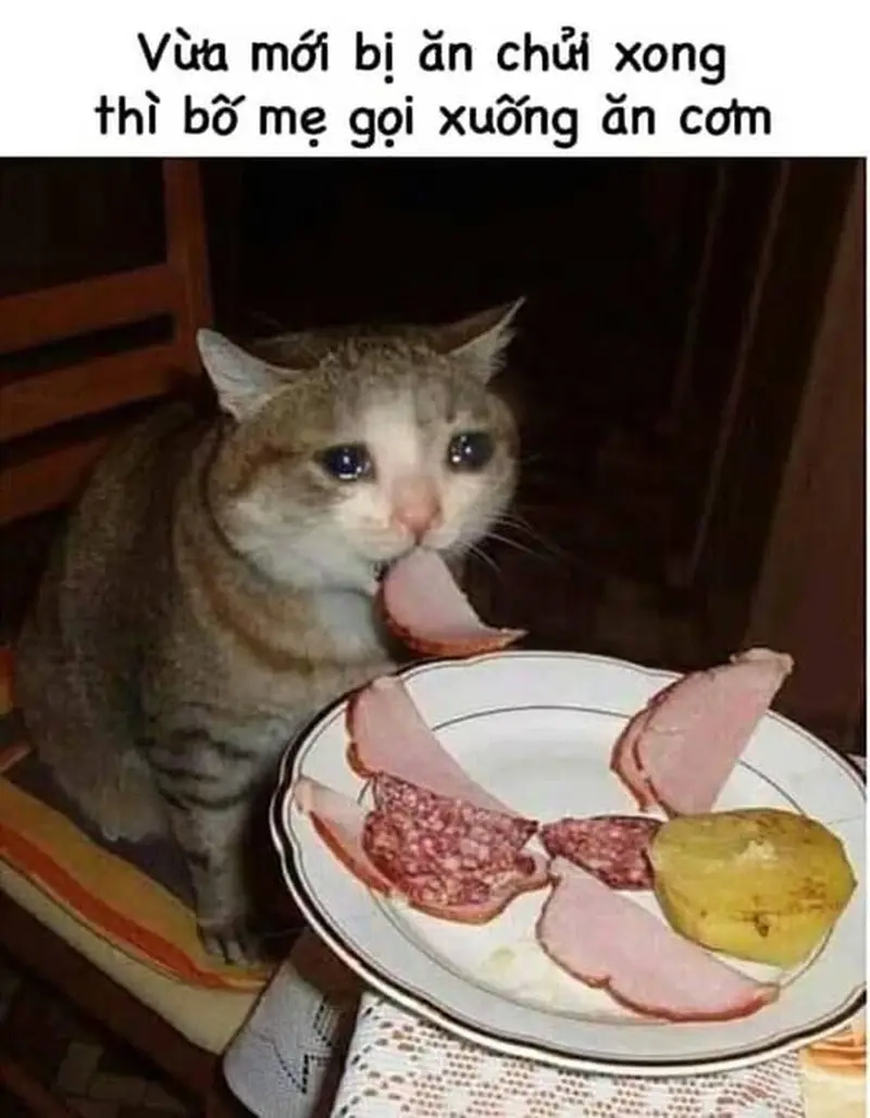 Gửi meme bị mẹ chửi để chia sẻ cảm xúc thân quen và hài hước