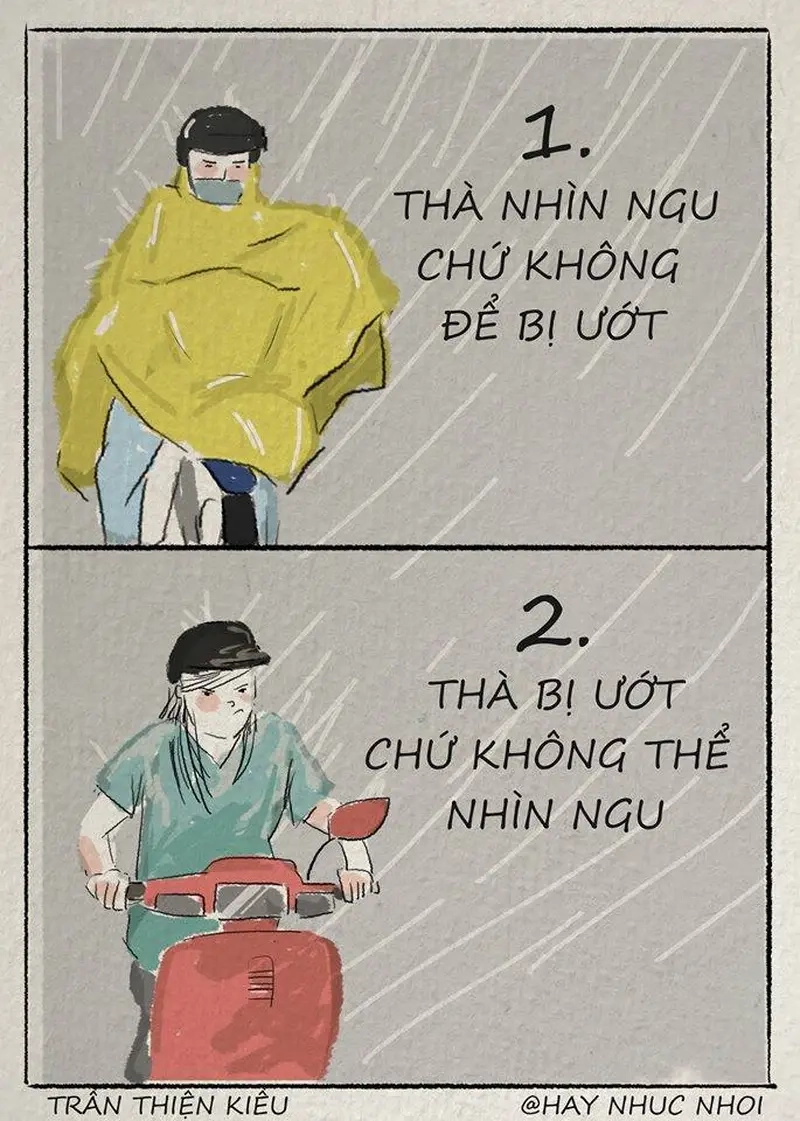 Meme đi dưới mưa là cảm giác vừa lãng mạn vừa muốn về nhà