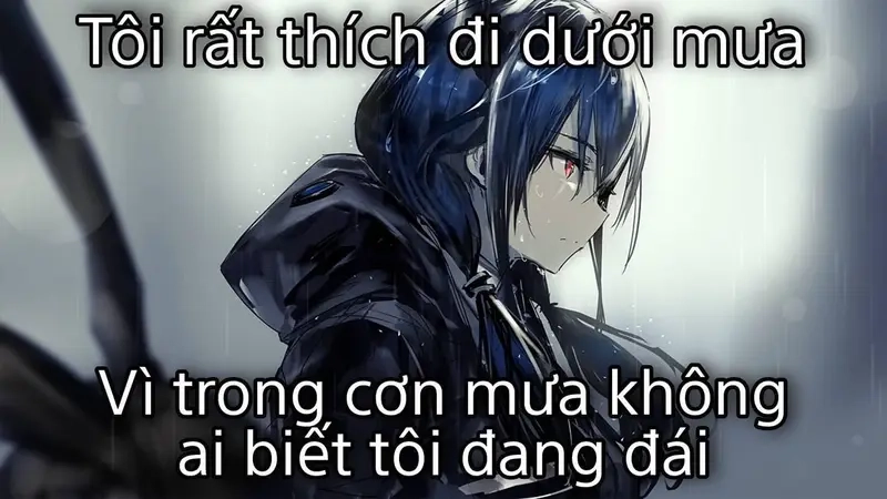 Khi meme đi dưới mưa mô tả đúng thực trạng áo mưa mỏng dính