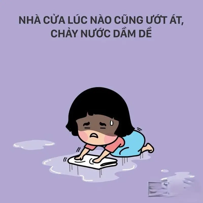 Cười nhẹ với meme nồm ẩm và bức tường ẩm mốc không ai chịu nổi