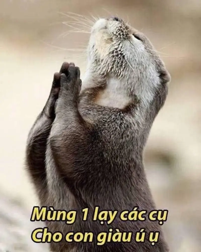 Mùng 1 tràn đầy năng lượng với meme mùng 1 vui nhộn
