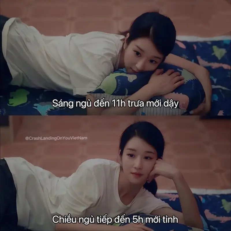 Hãy để meme lười chảy thây xua tan mọi lo toan trong bạn