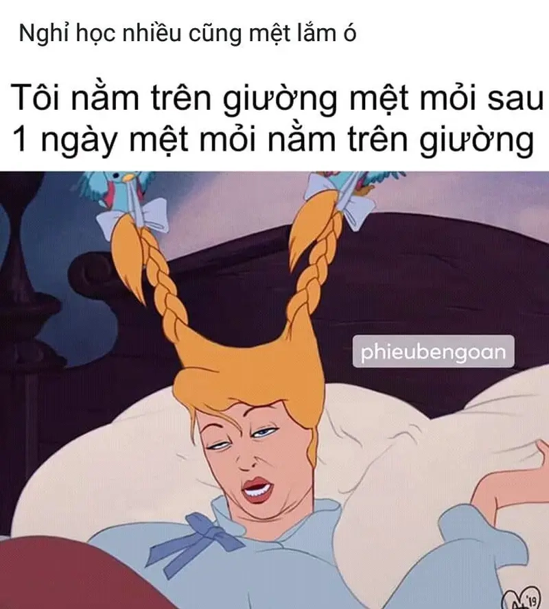 Xem meme nằm trên giường để hiểu cảm giác lười biếng chân thực