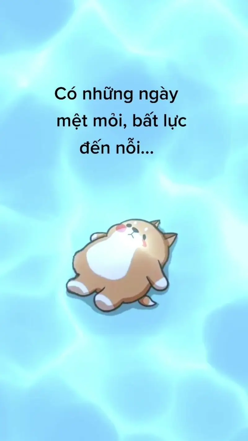 Meme không muốn làm gì là định nghĩa chuẩn cho trạng thái “đơ toàn tập”