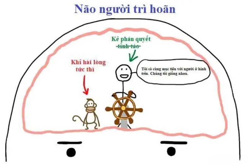 Ai đã từng là meme chúa tể trì hoãn khi ôn thi chưa