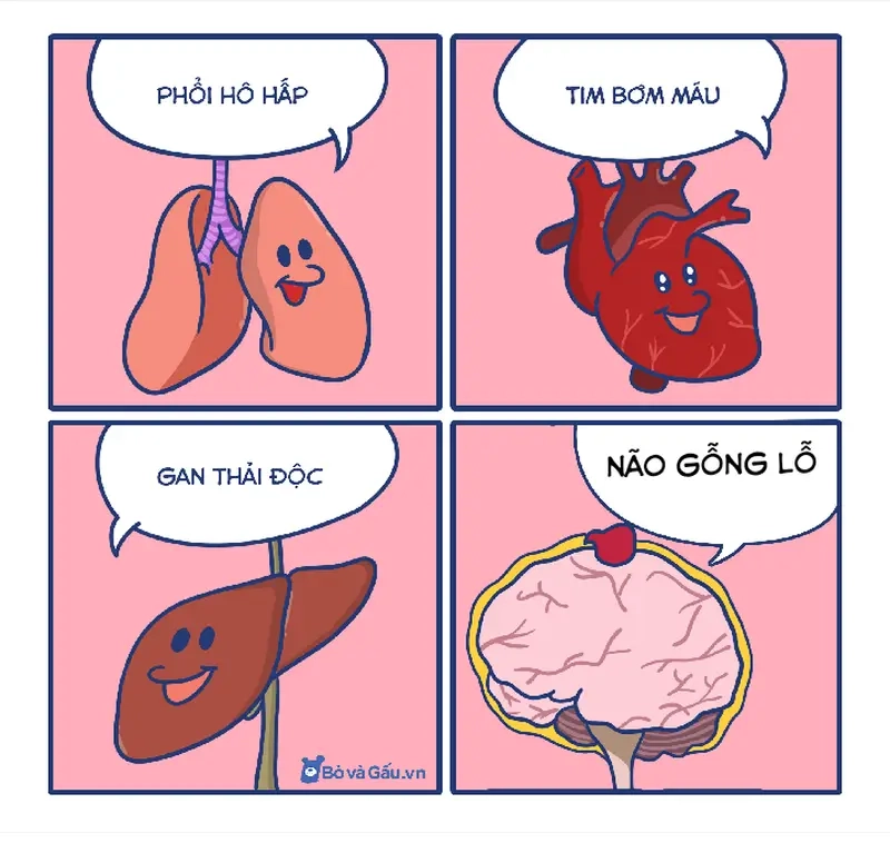 Lướt meme tập gym ngày đầu để nhớ lại thời thanh xuân cơ bắp