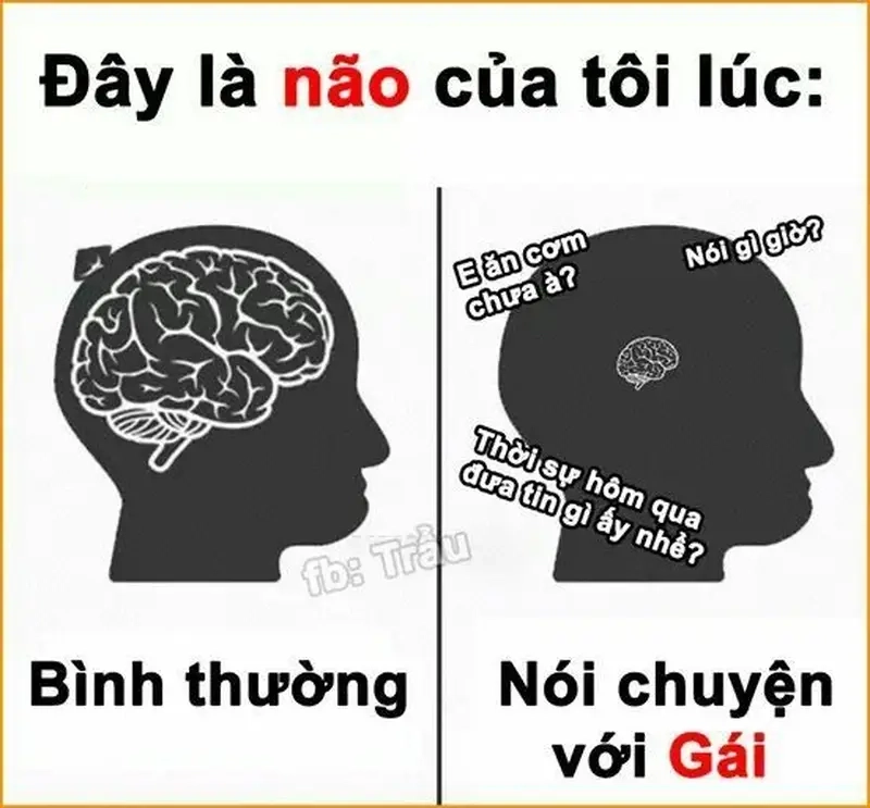 Meme não vs cơ thể mô tả rõ nét bi kịch của người muốn làm nhưng lười