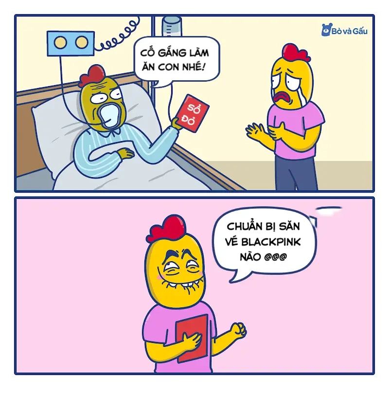 Meme về Sự kiện âm nhạc, giải trí nổi bật với meme concert Blackpink