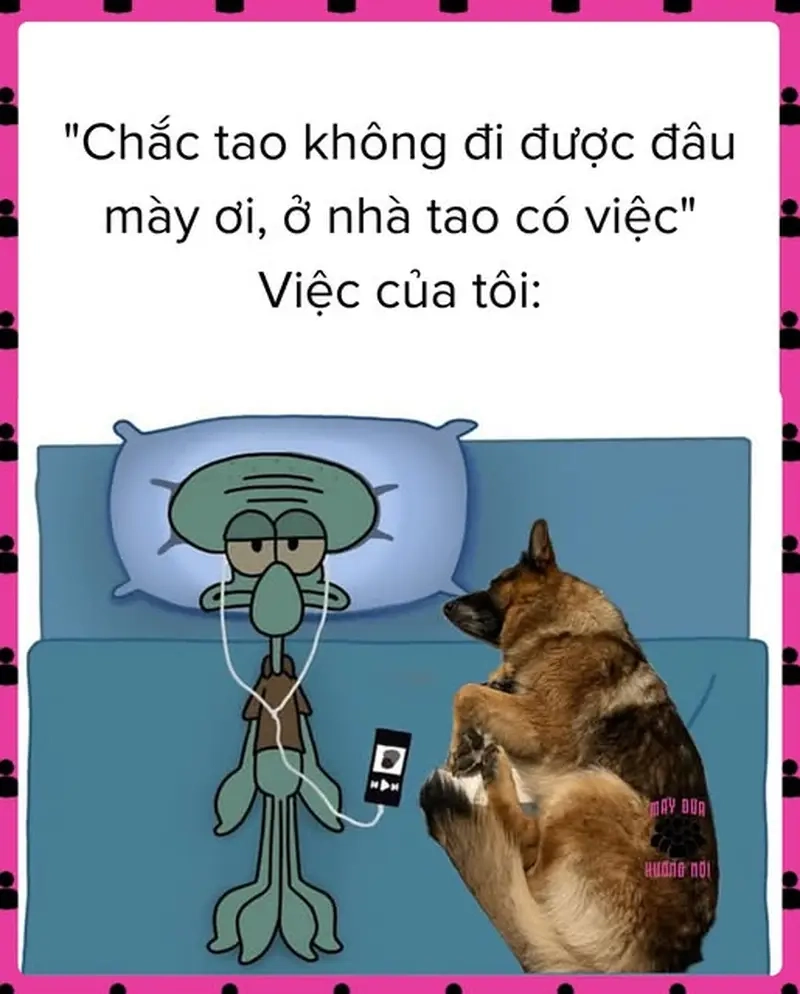 Party à không cảm ơn mình ở nhà meme hướng nội