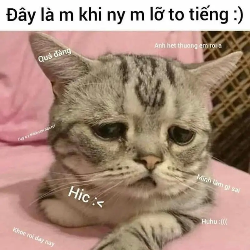 Khi lời nói nhỏ cũng khiến bạn suy sụp meme người nhạy cảm (HSP)