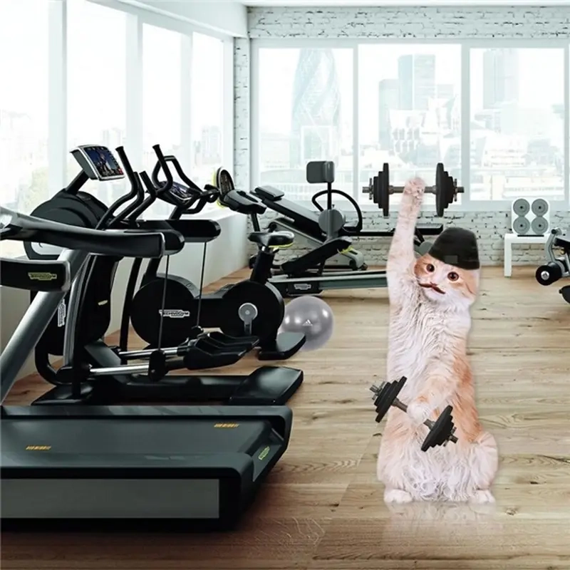 Khi bước vào meme phòng gym là bắt đầu một cuộc chiến