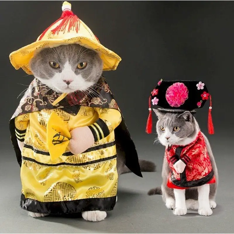 Không ai cưỡng lại vẻ mặt dễ thương của meme hoàng thượng (mèo)