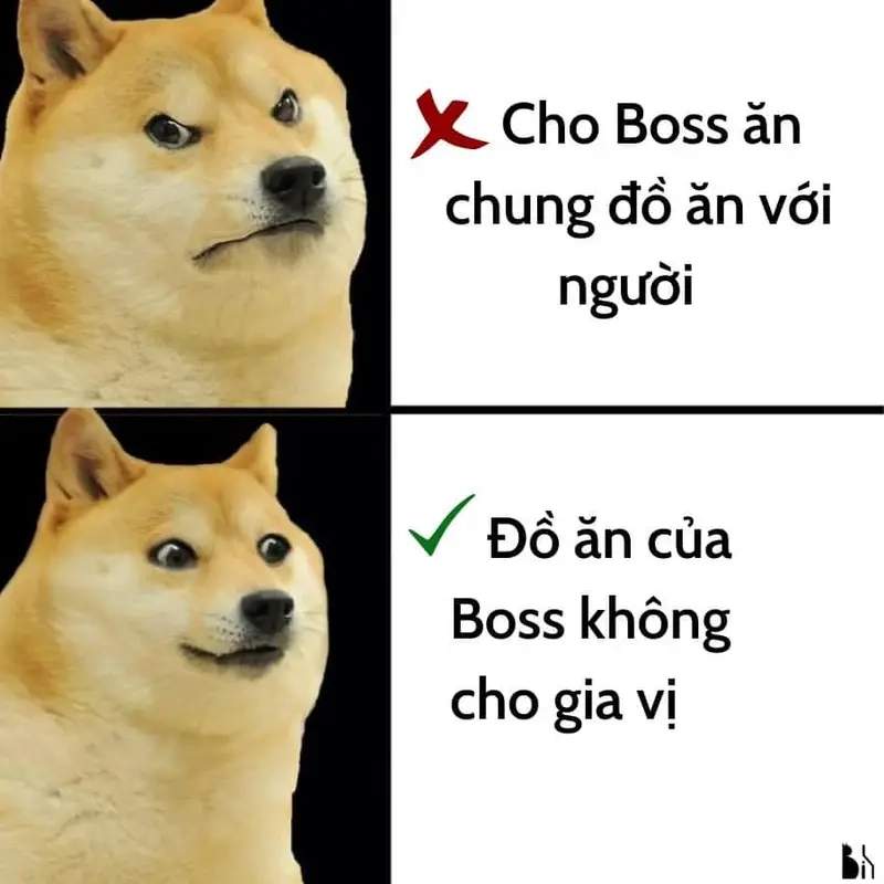 Boss dỗi cũng dễ thương không kém meme khi boss dỗi
