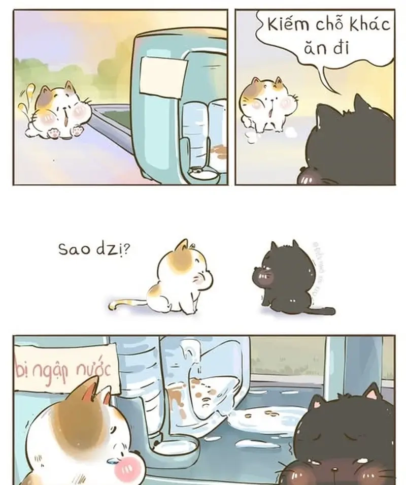 Khi nhà biến thành meme dọn 