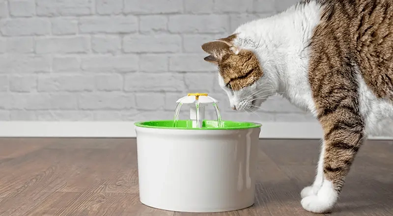 Mỗi ngày là một màn dọn dẹp meme dọn 