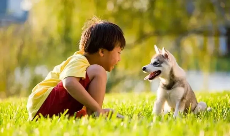 Nói chuyện với boss như bạn thân meme nói chuyện với thú cưng