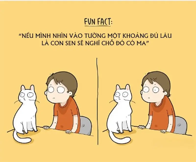 Khi meme con sen phải chịu trận vì boss làm hư đồ